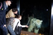Туристам нравятся экскурсии в вечернее время. // zoopraha.cz