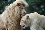 Африка ждет любителей природы. // kochanowski, Shutterstock.com