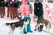 Первый кинологический фестиваль пройдет в музее-заповеднике Куликово поле. // kulpole.ru