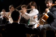 Множество музыкальных событий пройдет в Таллине. // Stokkete, Shutterstock.com