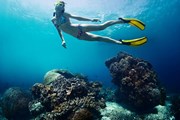 Сафари предполагает плавание с маской и трубкой. // Dudarev Mikhail, shutterstock