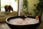 Животных от постояльцев отделяет стекло. // dailytelegraph.com