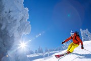 В Испании - отличные условия для катания. // Samot, Shutterstock.com