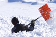 Снега слишком много. // Trudy Wilkerson, Shutterstock.com