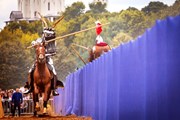 Рыцари приедут со своими конями. // ratobor.com