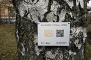 Сибелиус чувствовал связь с деревьями. // helsinki.ru