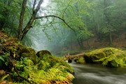Парк предложит водную прогулку. // PetrJanJuracka, Shutterstock.com
