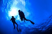 Создается новое развлечение для дайверов - подводный парк в Крыму. // Soren Egeberg Photography, shutterstock