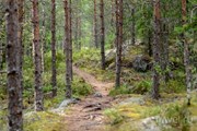 В нацпарке Реповеси // Travel.ru