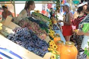 Лучший виноград Тамани - на винном фестивале. // temryuk.ru