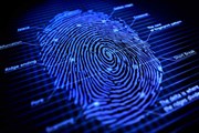 Отпечатки будут храниться в базе данных пять лет. // 4n6.com
