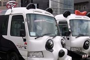 Автобусы в виде панд возят туристов бесплатно. // pandabus.net