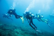 К выбору дайвинг-школы нужно походить ответственно. // littlesam, shutterstock