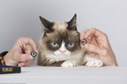 Grumpy Cat - первое животное в Музее мадам Тюссо. // Madam Tussauds Museum