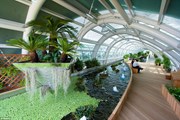 Садик в аэропорту Incheon // Alamy