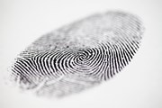ВЦ ряда стран предлагают услугу "Мобильная биометрия". // Derek Hatfield, shutterstock
