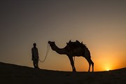 Россияне продолжают стремиться в Египет. // Supavadee butradee, shutterstock