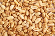 Арахис - сильнейший аллерген. // Fernando Sanchez Cortes, shutterstock.com