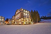 Отель находится в 150 метрах от подъемника. // greyhotel.rs