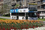 Обзорные экскурсии проводятся дважды в день. // tob.rs