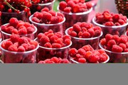Лучшая малина - на фестивале в Новоселках. // malinafest.ru