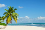 Пляжи Доминиканы ждут российских туристов. // Anna Jedynak, shutterstock