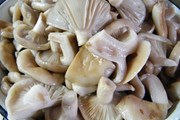 В швейцарских лесах полно грибов. // povar.ru