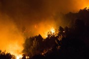 Израиль сильно пострадал от пожаров. // РБК-Украина