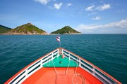 Стоимость билета в нацпарк - 400 бат. // pkproject, shutterstock