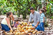 Музей посвящен производству шоколада в Доминикане. // cacaotour.com