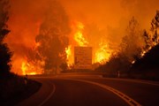 Португалия охвачена природными пожарами. // thesun.co.uk