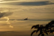 Monarch Airlines обанкротилась // Юрий Плохотниченко