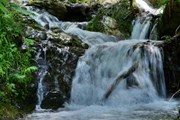 В парке "Менделиха" - восемь водопадов. // rosaski.com