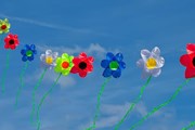 На фестивале выберут самые интересные летательные аппараты. // 360tv.ru