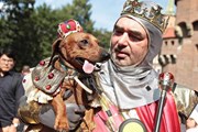 Таксы и их хозяева наденут карнавальные костюмы. // dziennikpolski24.pl