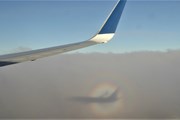 Пассажиров Cobalt Air перевезут за счет Кипра // Юрий Плохотниченко