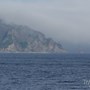 Визы в Россию Визы в Россию